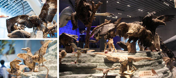 1474954100114055jFHG.jpg 15.jpg